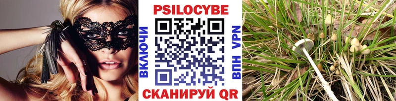 Галлюциногенные грибы Magic Shrooms  это телеграм  Подпорожье 