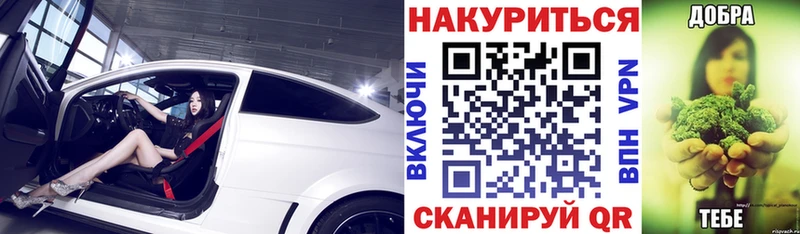 Бошки марихуана конопля Подпорожье